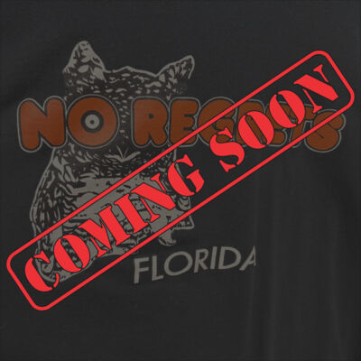 Florida Thumbnail